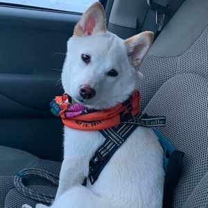 Meet your Posher, Celia